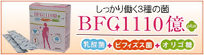 BFG1110vX