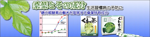 桑葉とその成分
